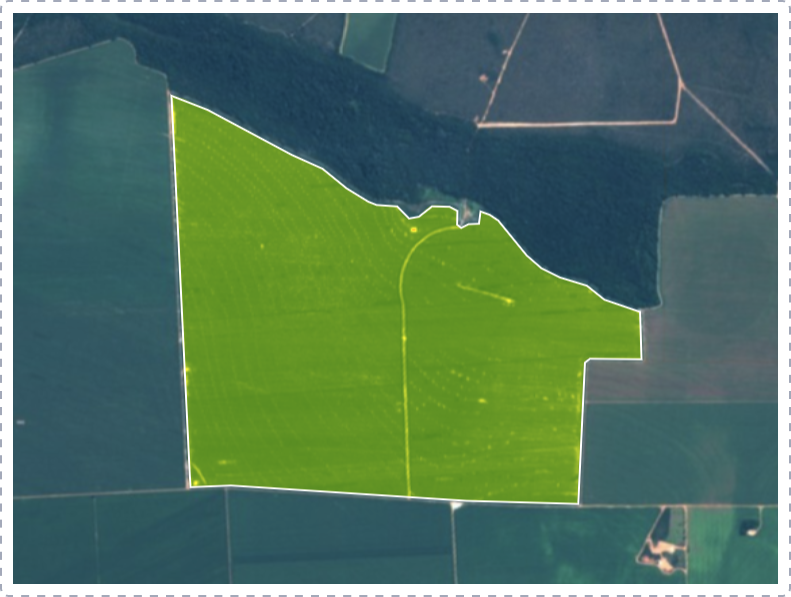 cropwise imagery visual image
